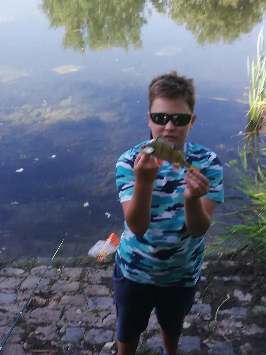 Pelzteich (Görzig) angeln