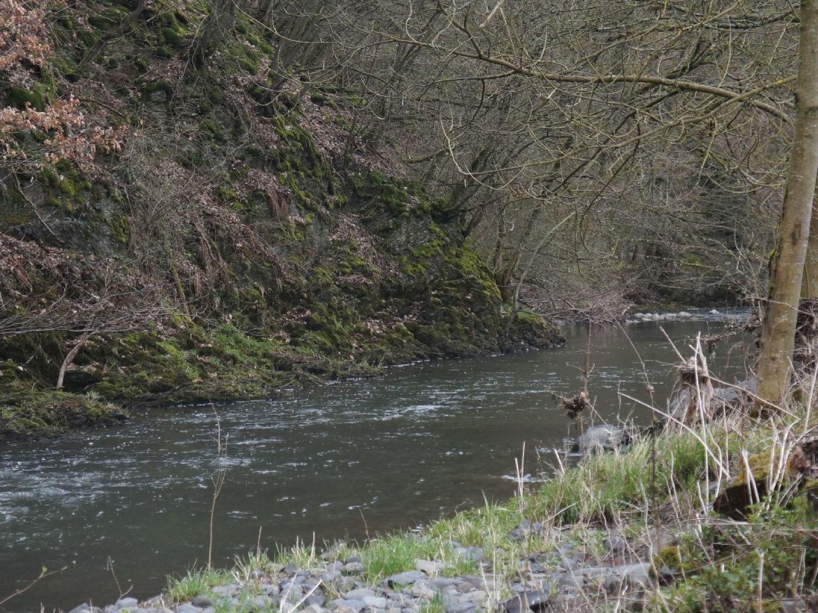 Angeln in Waldbrunn (Westerwald)