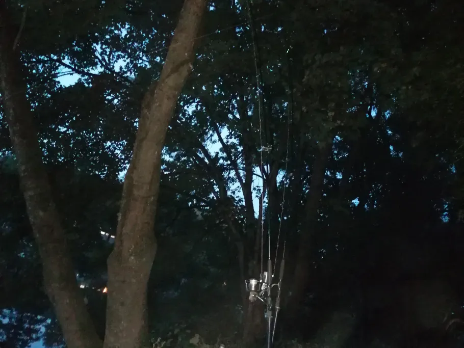 Lahn (Nassau) angeln