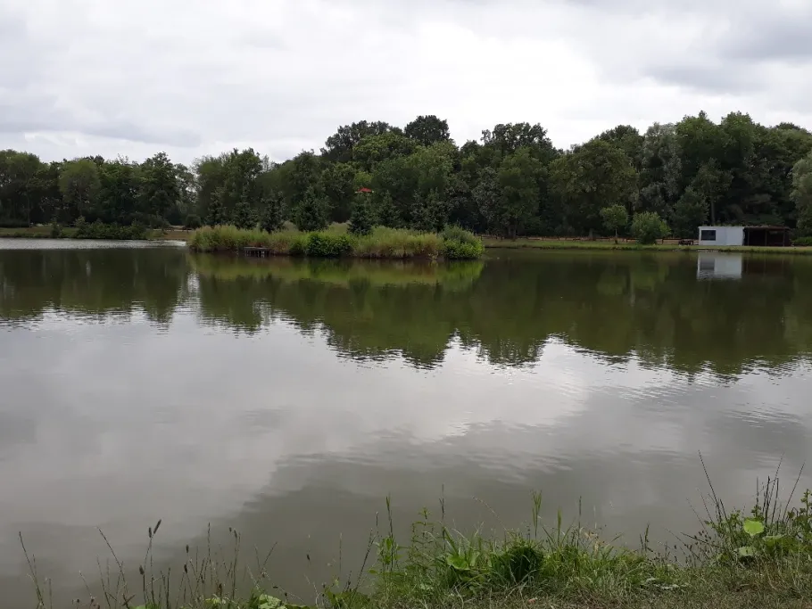 Beckers See (Ochtrup) angeln