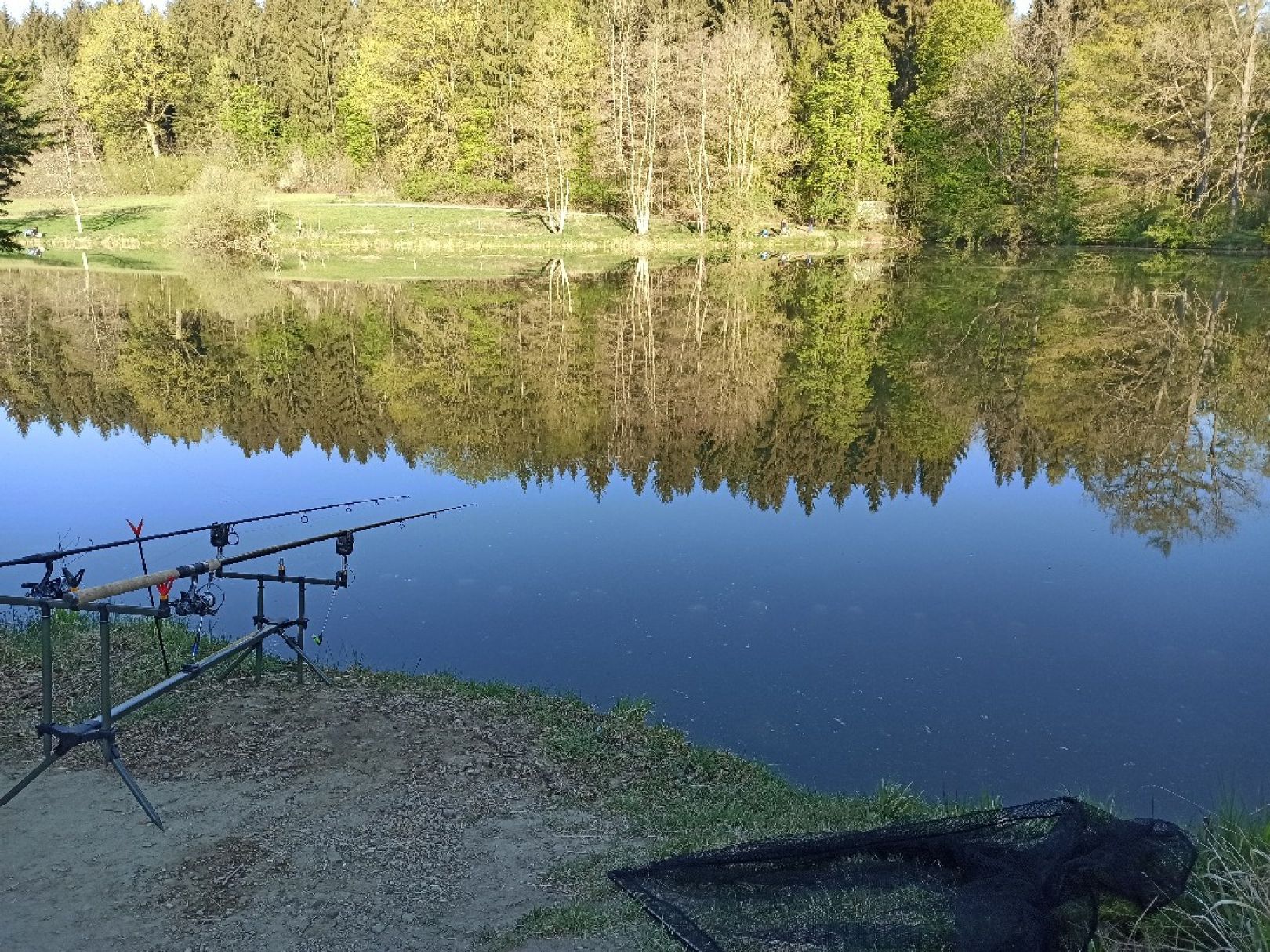 Zeller Weiher (Bad Saulgau) angeln