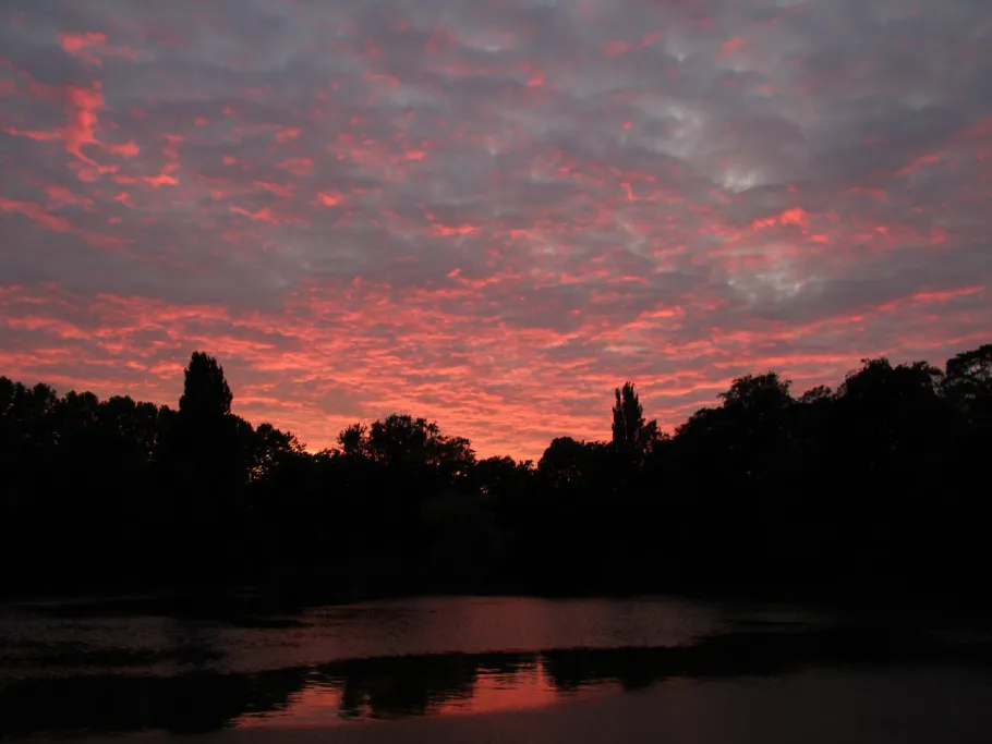 Ostparkweiher (Düsseldorf) angeln