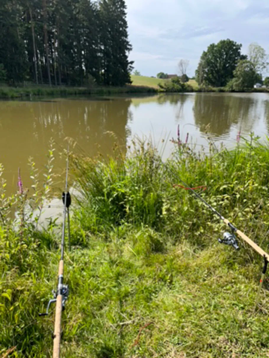 See an der Hammermüle (Fichtenau) angeln