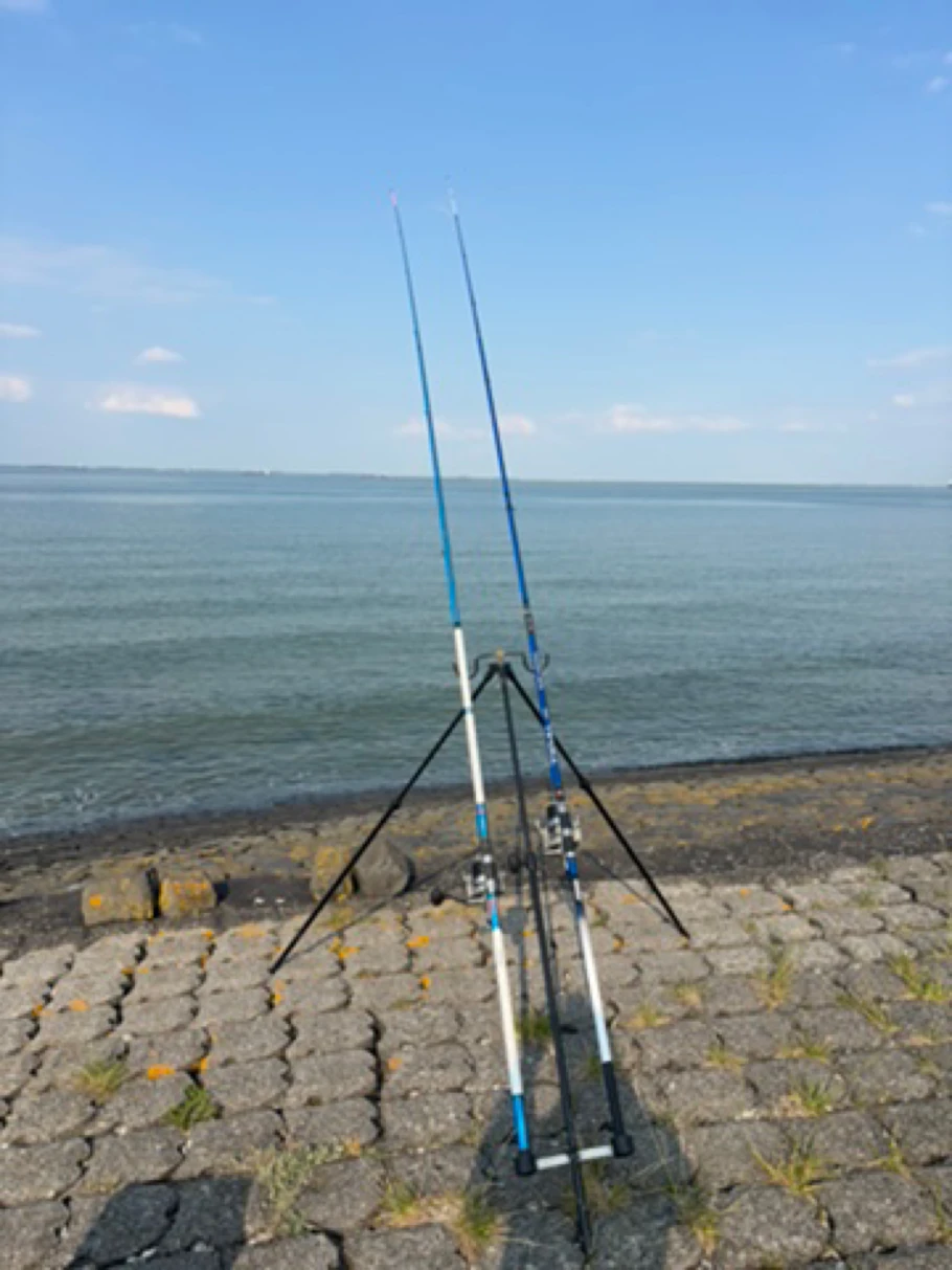 Westerschelde angeln