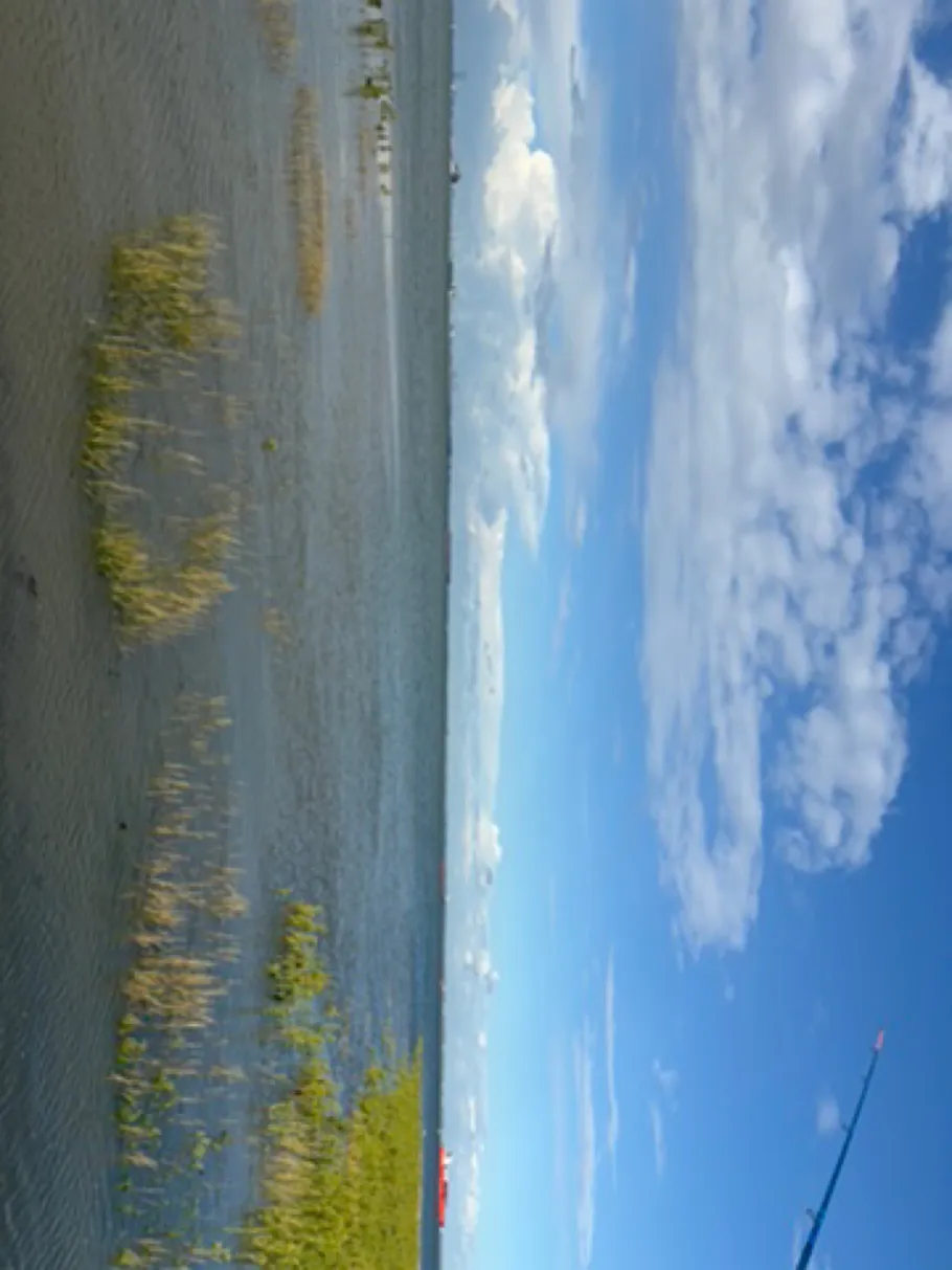 Westerschelde angeln