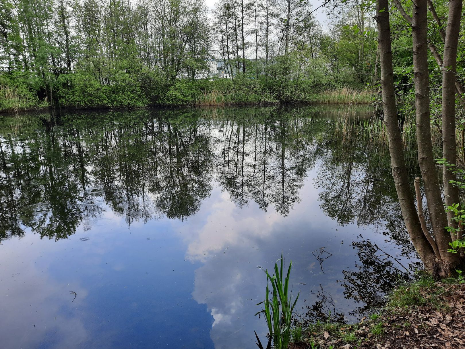 Angeln in Achim