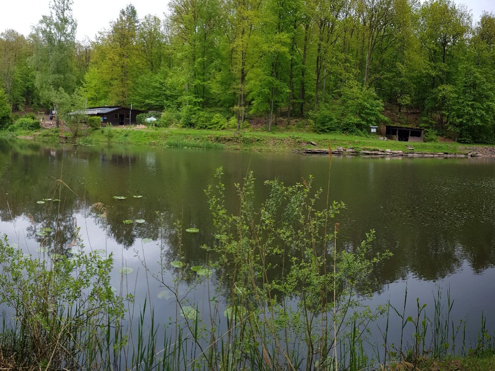 Saufangweiher angeln