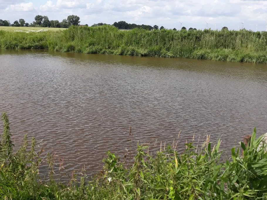 Harle (Wittmund) angeln