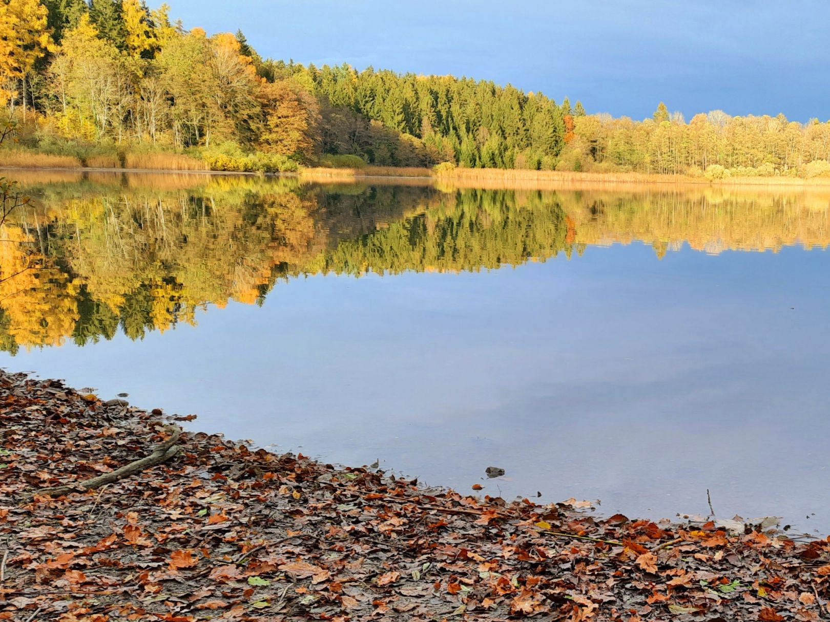 Schlossweiher Ratzenried angeln