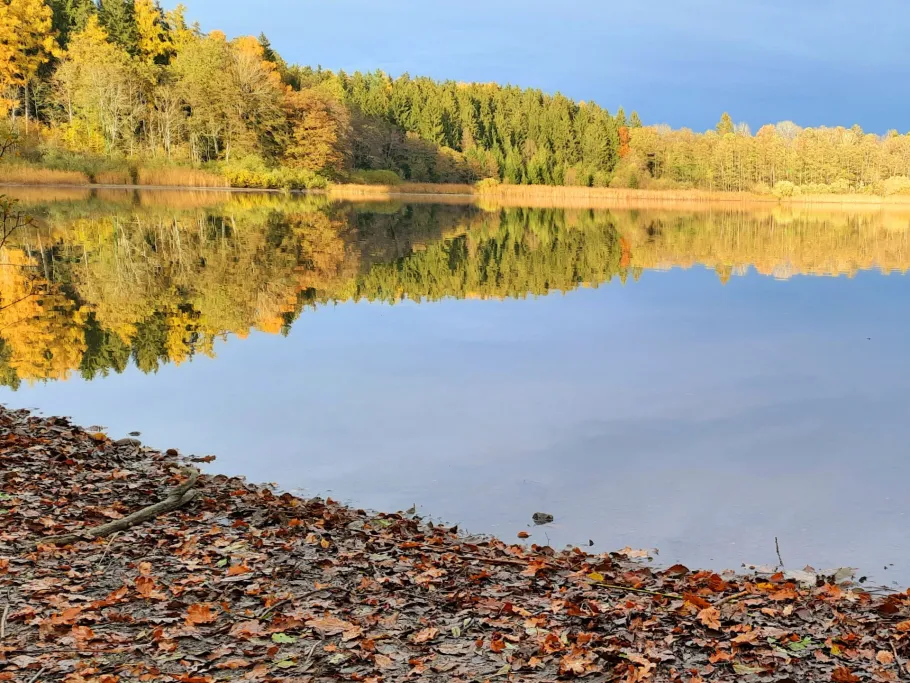 Schlossweiher Ratzenried angeln