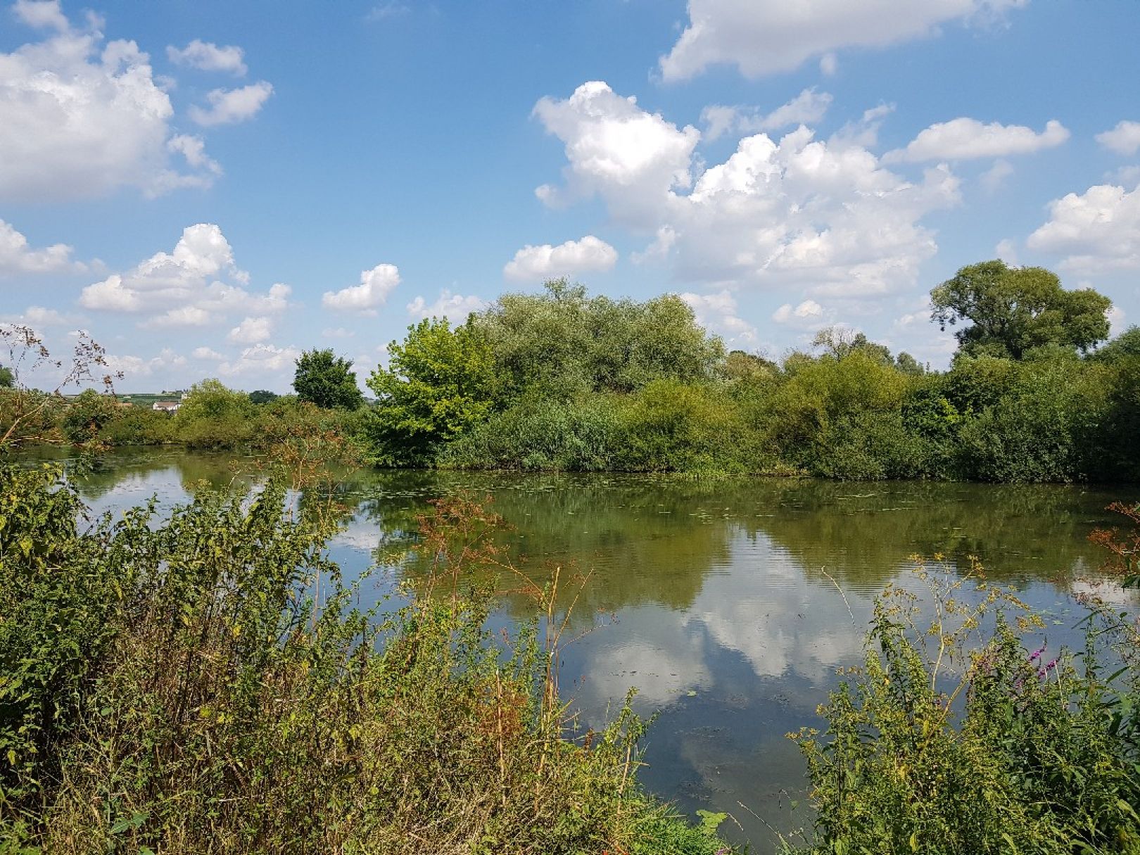 Angeln in Kleinlangheim