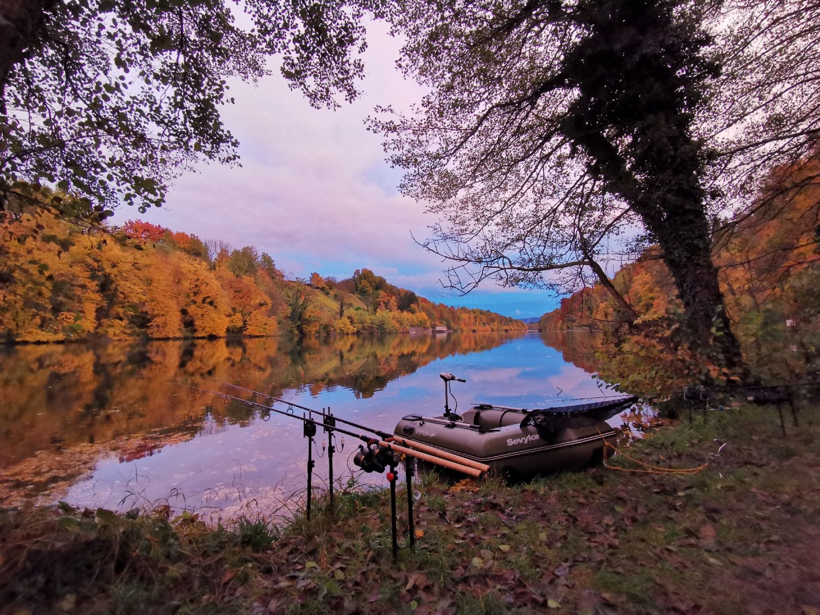 Rhein (Rheinau) angeln