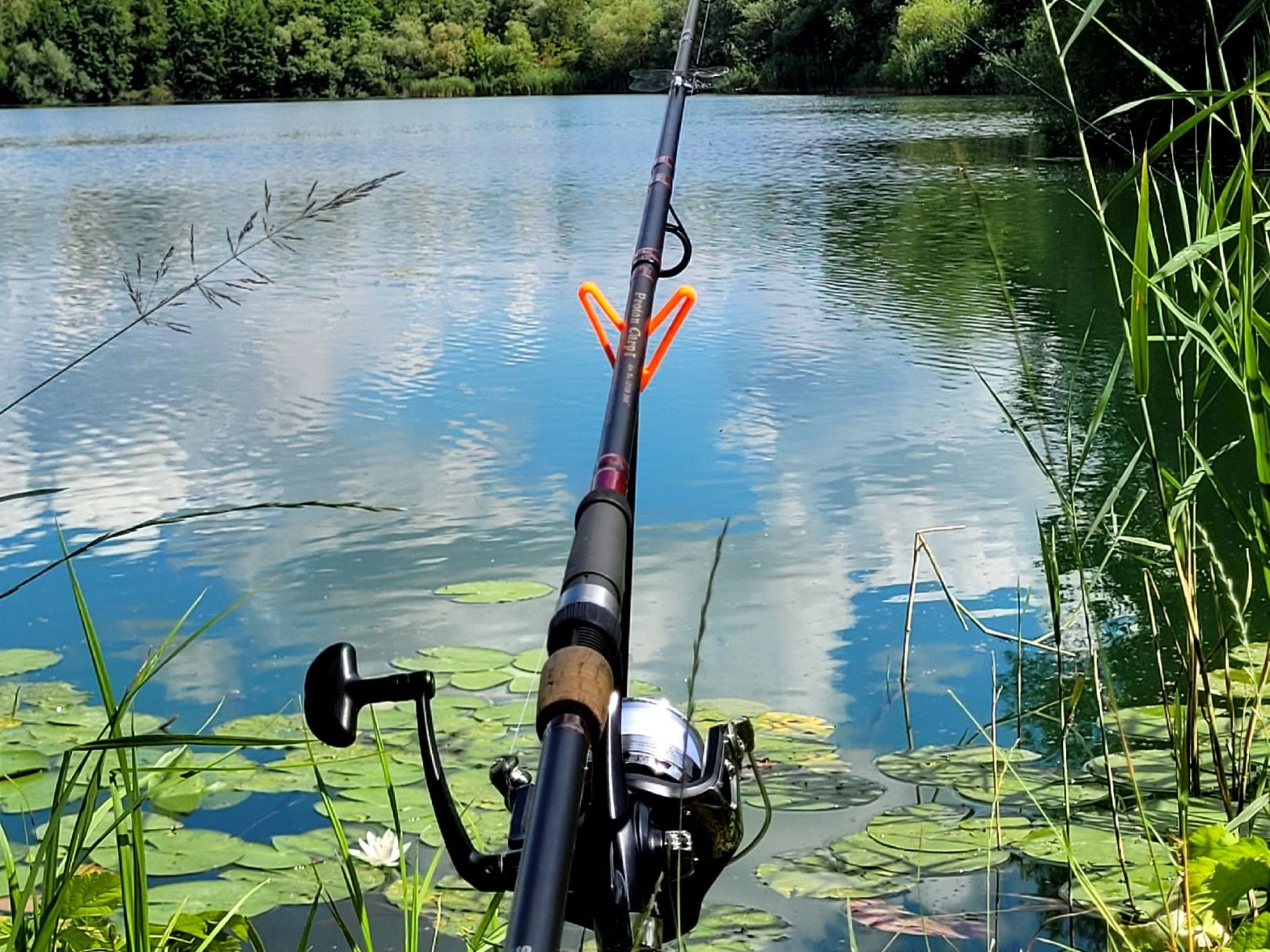 Ostertagsee angeln