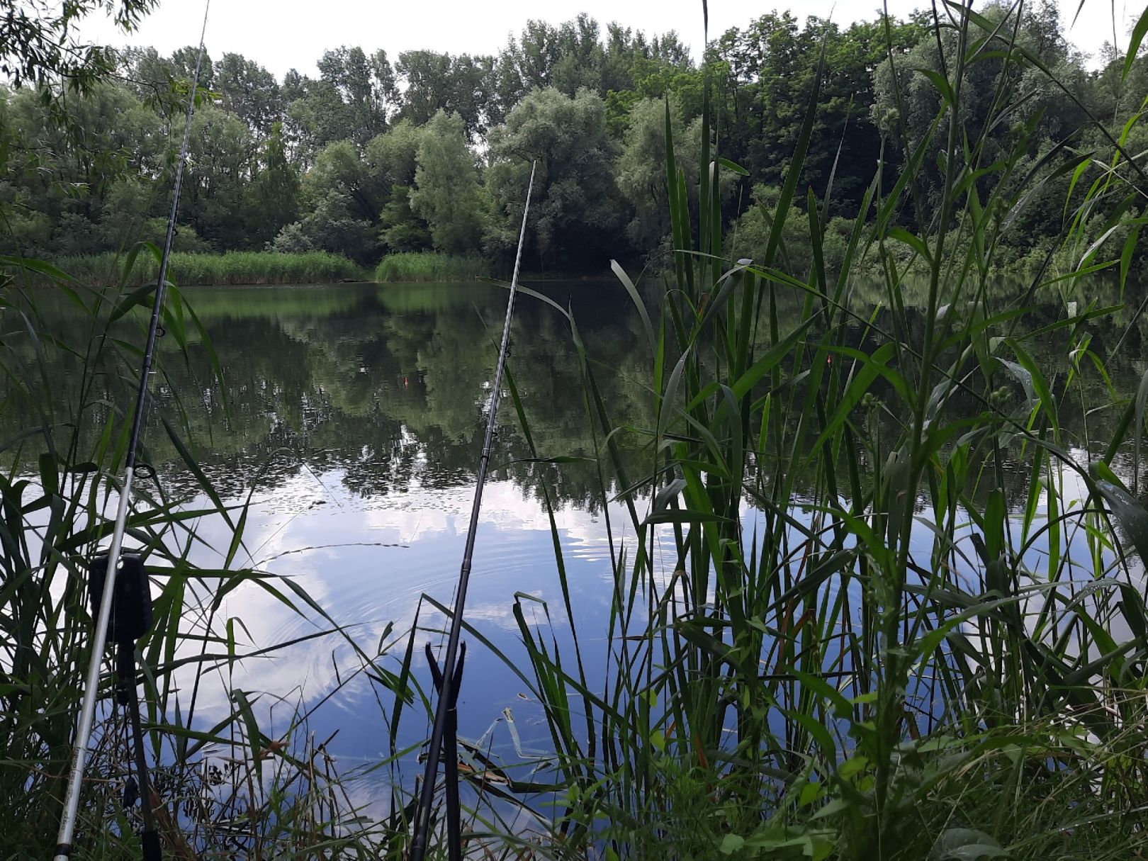 Messeteich Frankfurt/Oder angeln