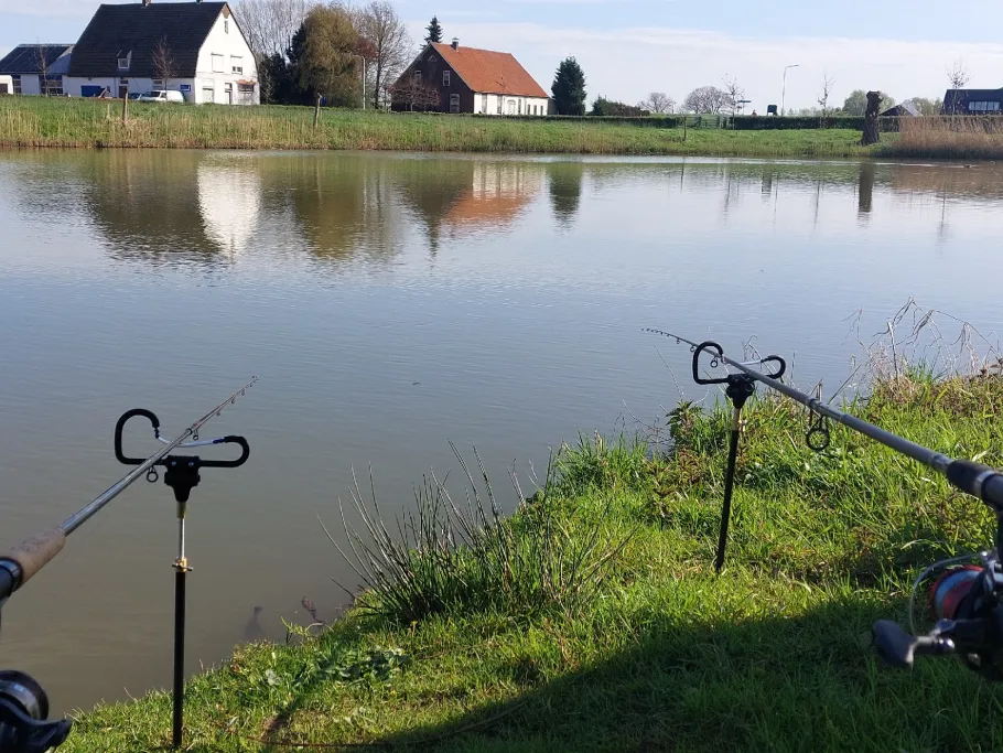 Linge (Doornenburg) angeln