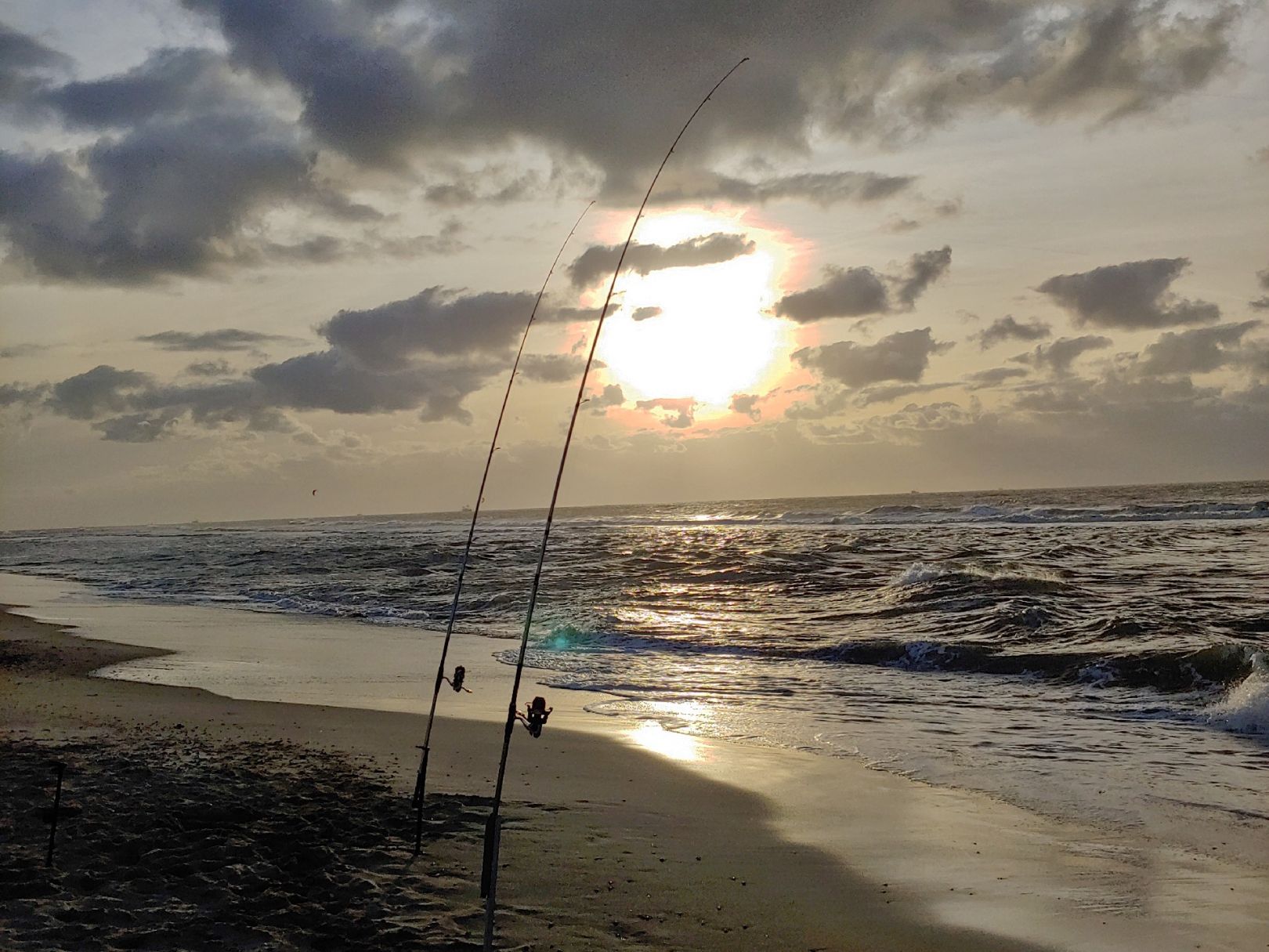 Nordsee (Texel) angeln