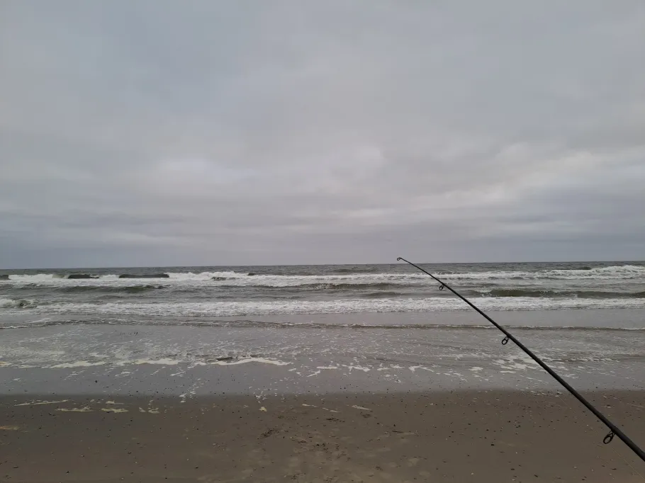 Nordsee (Texel) angeln