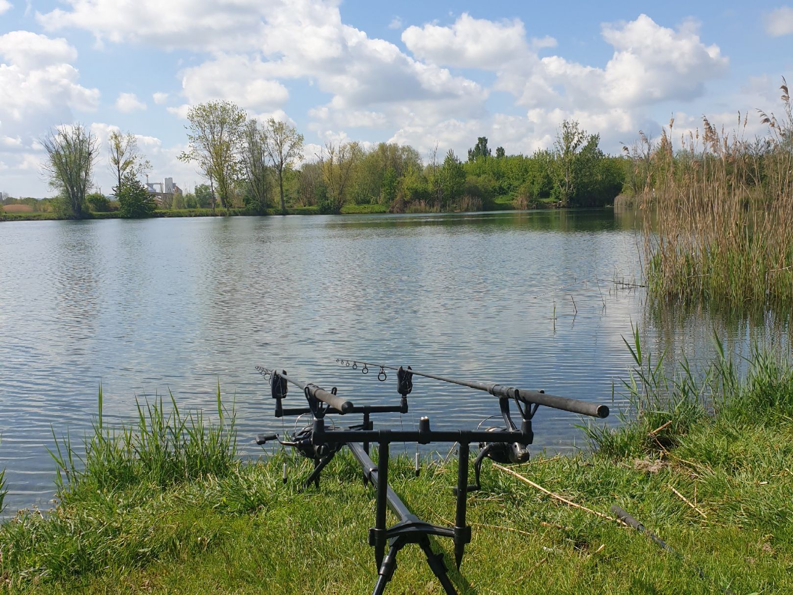 Froschteich (Geratal Kies) angeln