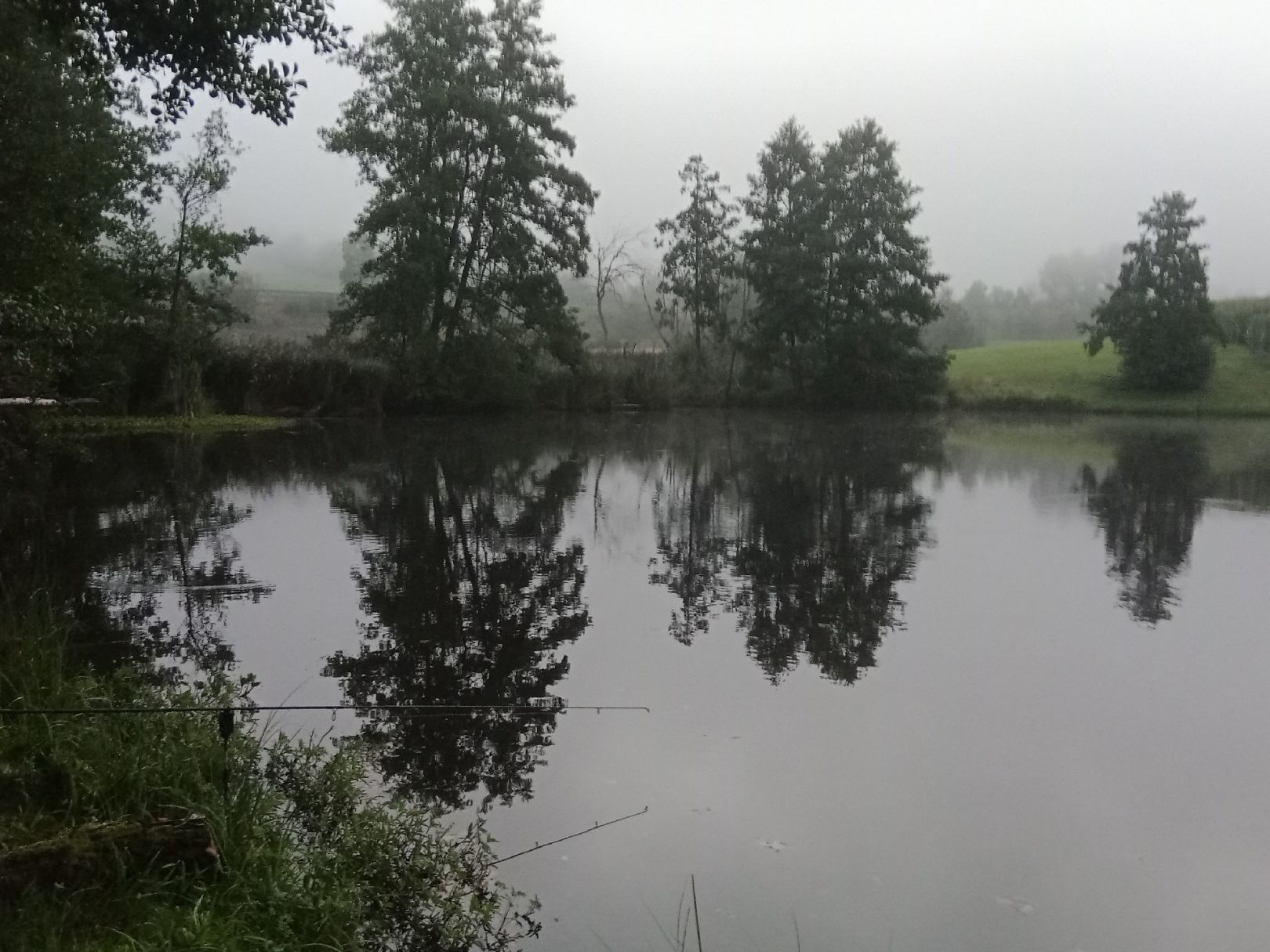 Landschaftsweiher Hohenau angeln