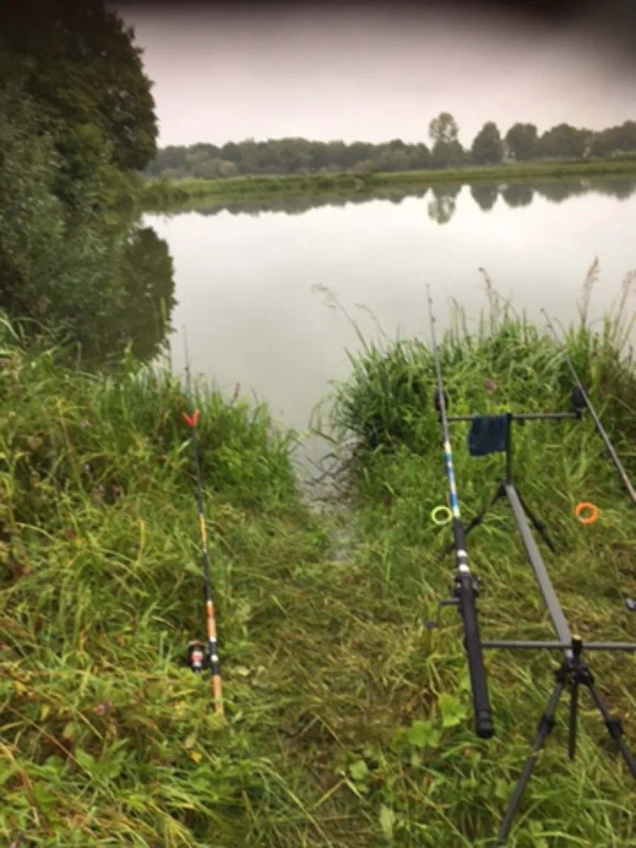 Étang de Gondrexange angeln