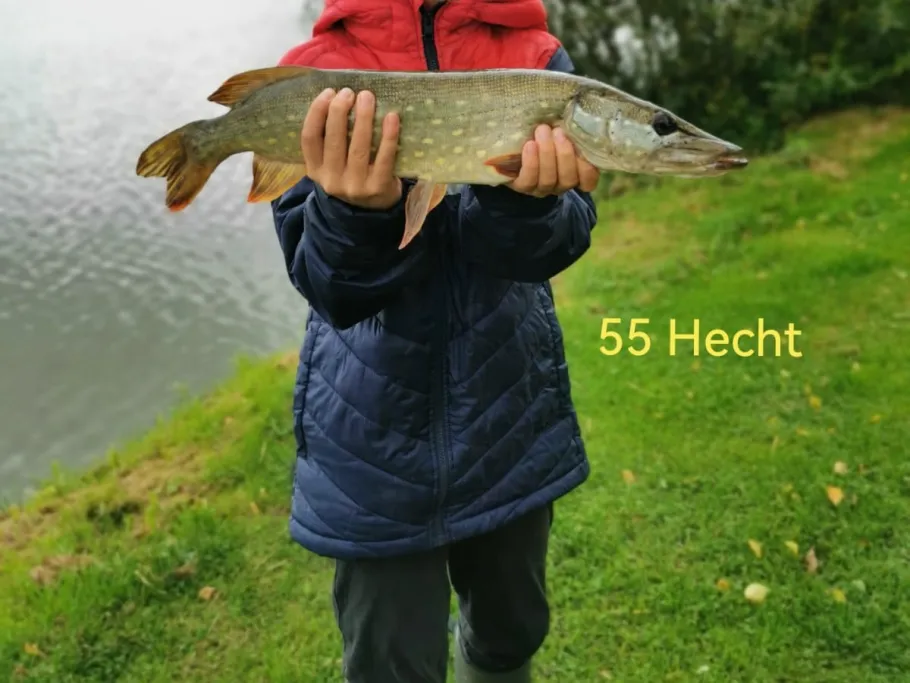 Volksbad /Olbersdorf) angeln