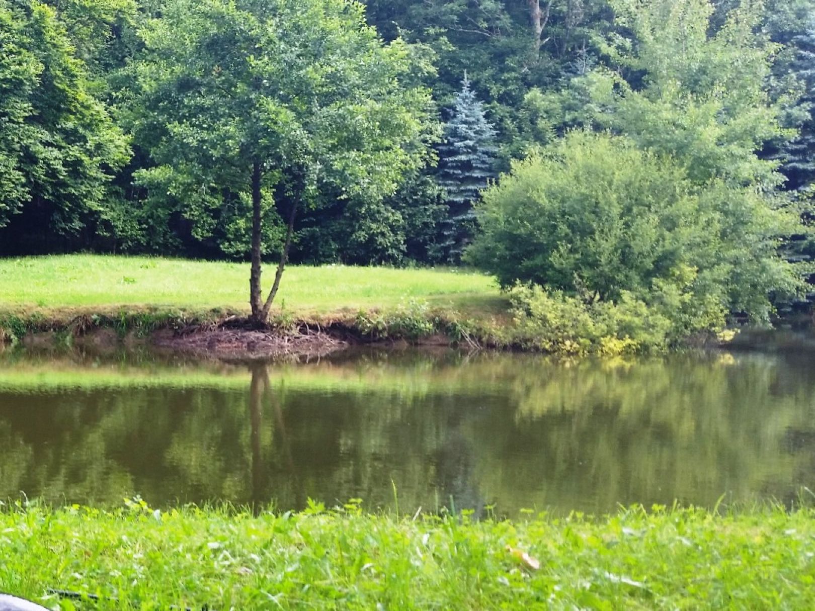 Nesselhofer Weiher angeln