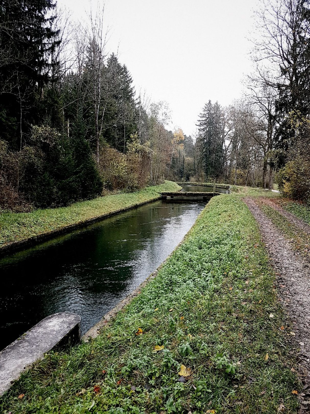 Triftbach (Bruckmühl) angeln