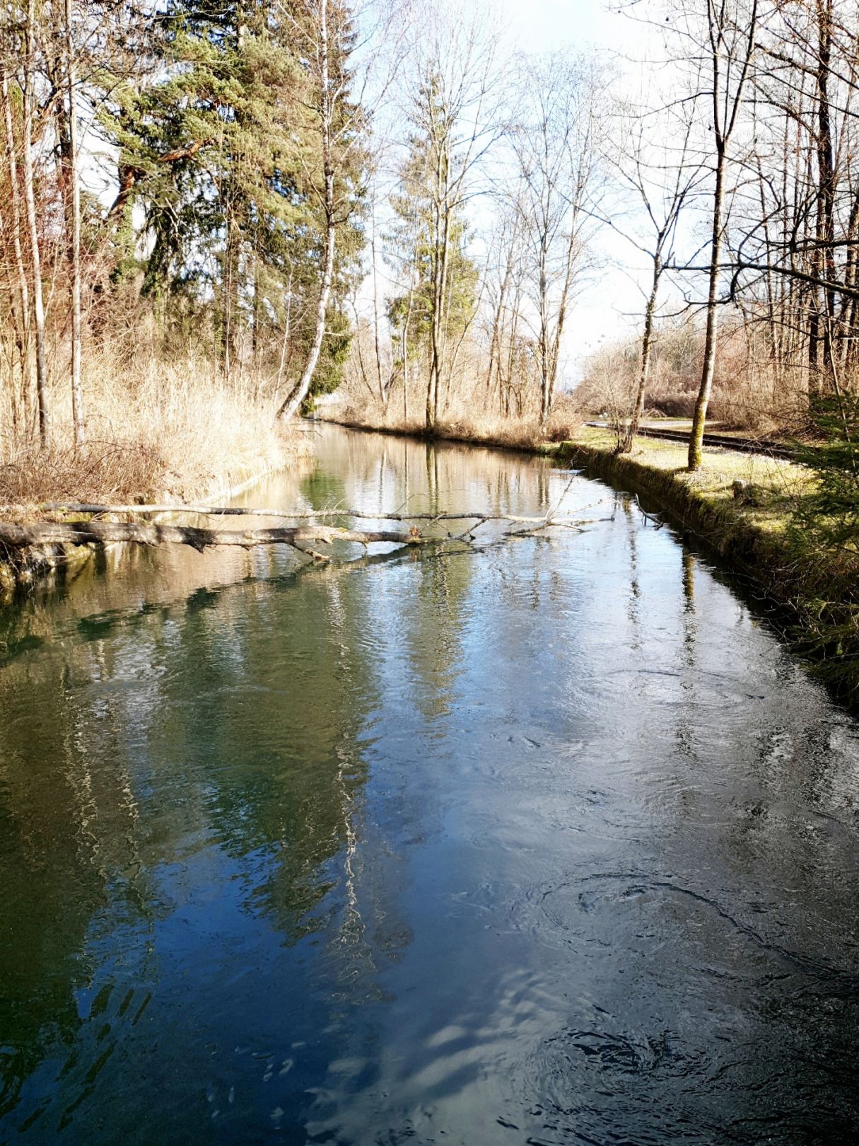 Triftbach (Bruckmühl) angeln