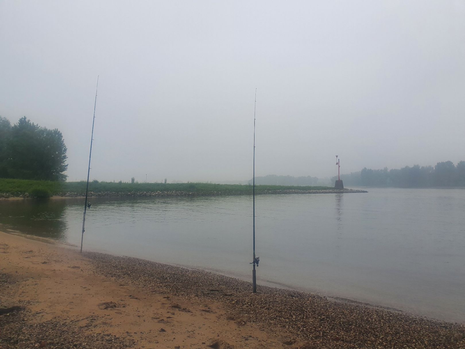 Waal (Nijmegen) angeln