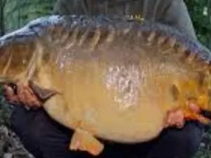 Borgdorfer See angeln