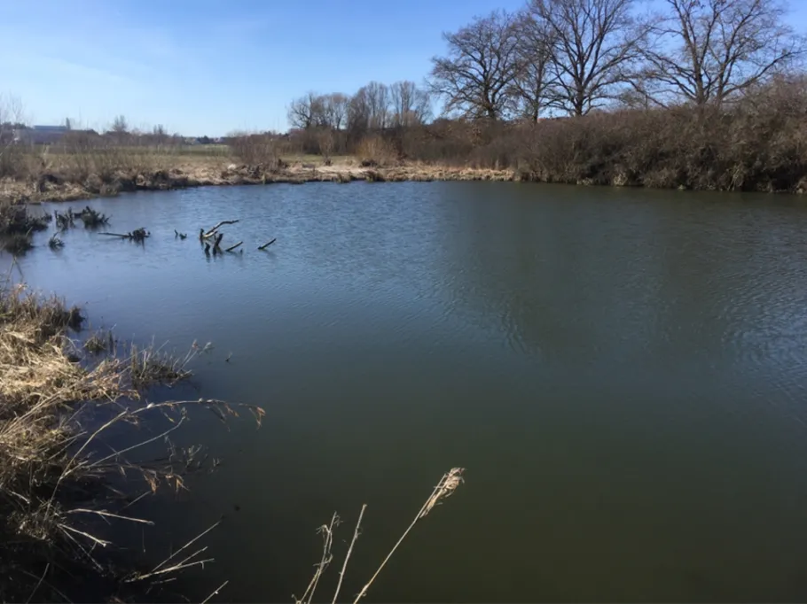 Froschweiher (Monheim) angeln