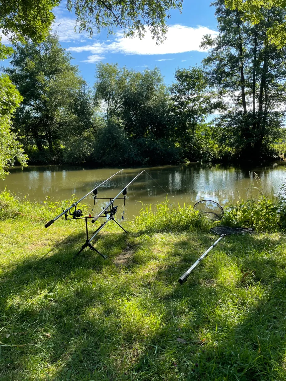 Jagst (Möckmühl) angeln