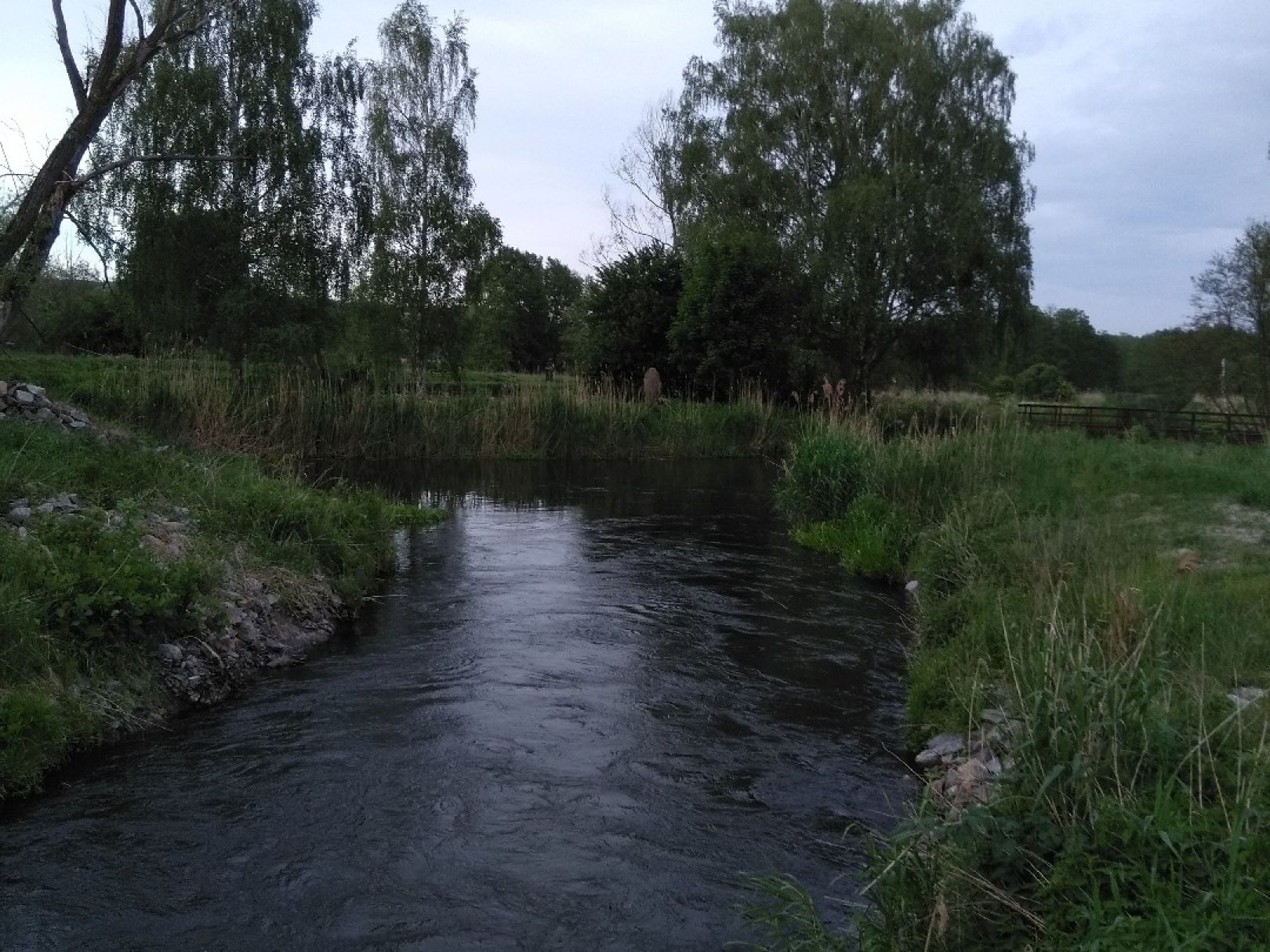Finowkanal (Niederfinow) angeln