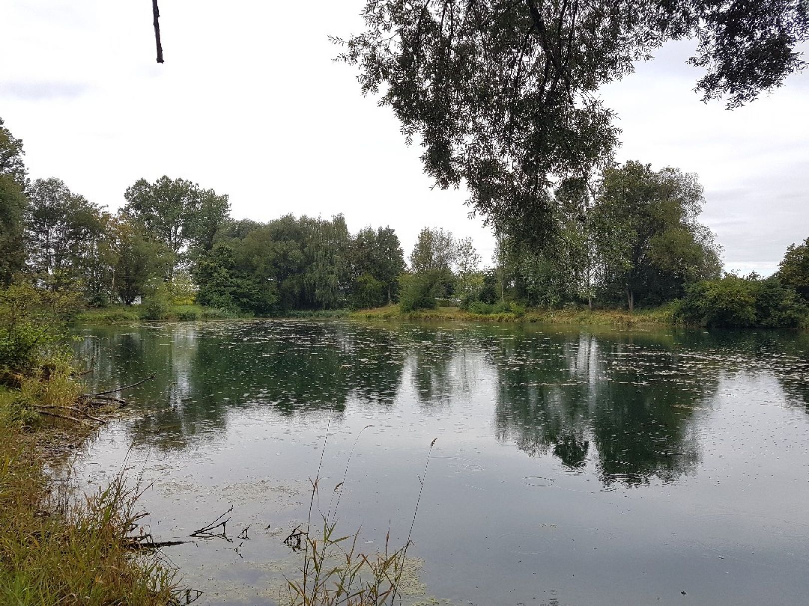 Gastsee (Sinningen) angeln