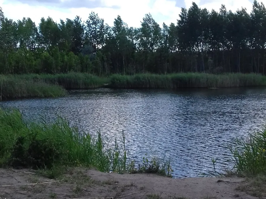 Cobra (Halle) angeln