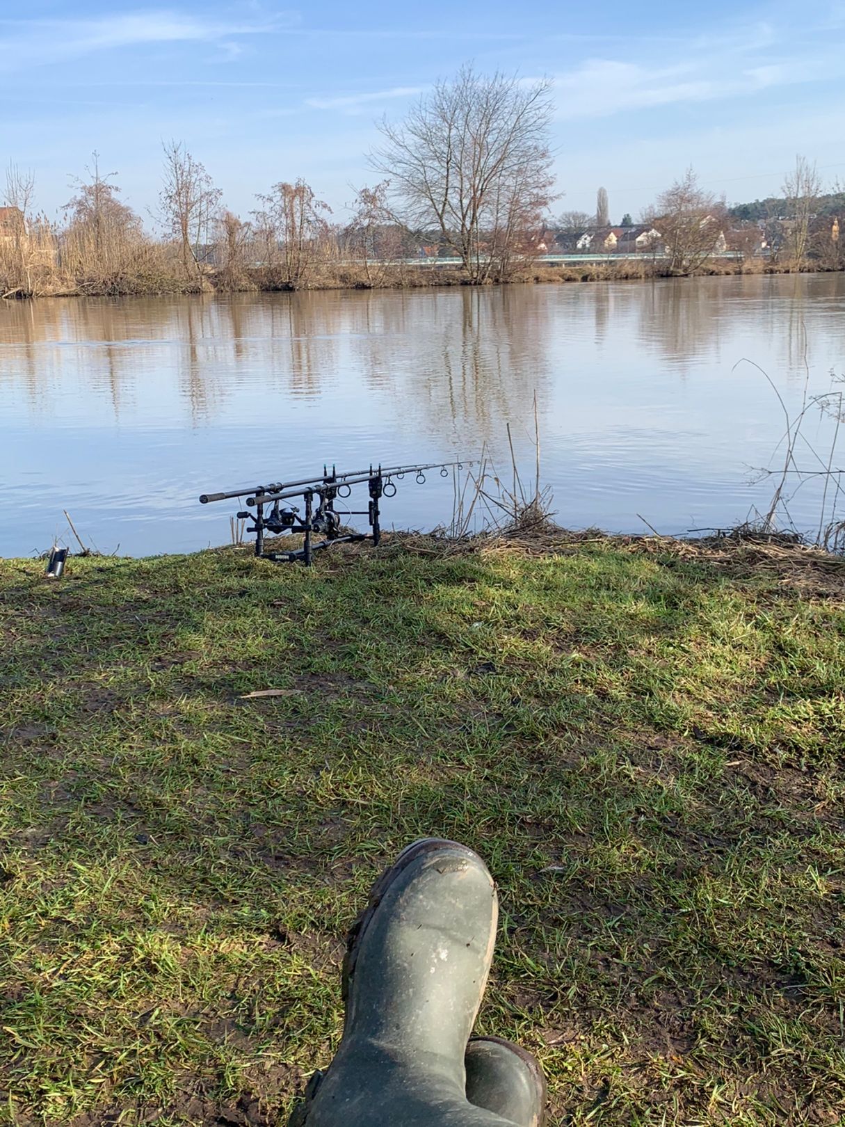 Regnitz (Fürth) angeln