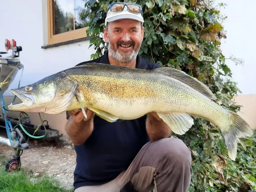 Bachtelsee (Biessenhofen) angeln