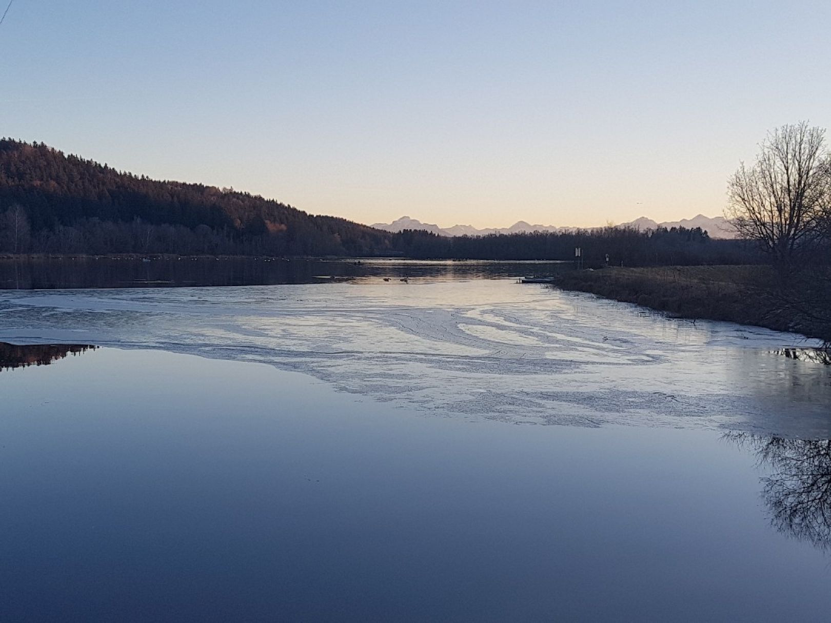 Bachtelsee (Biessenhofen) angeln