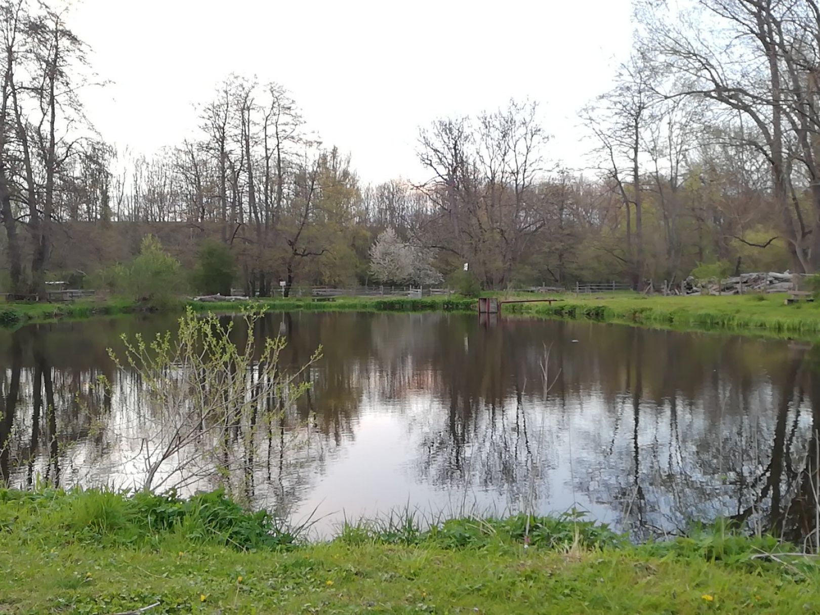 Flottenteich (Weddersleben) angeln