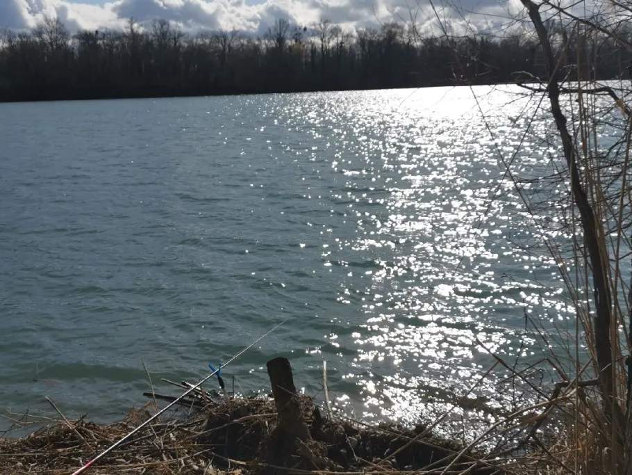 Edelsplittsee (Wyhl) angeln