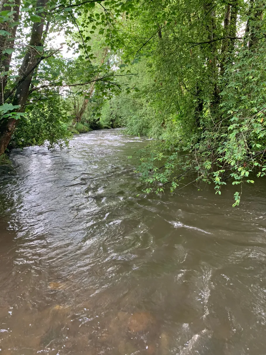 Osterbach (Wegscheid) angeln