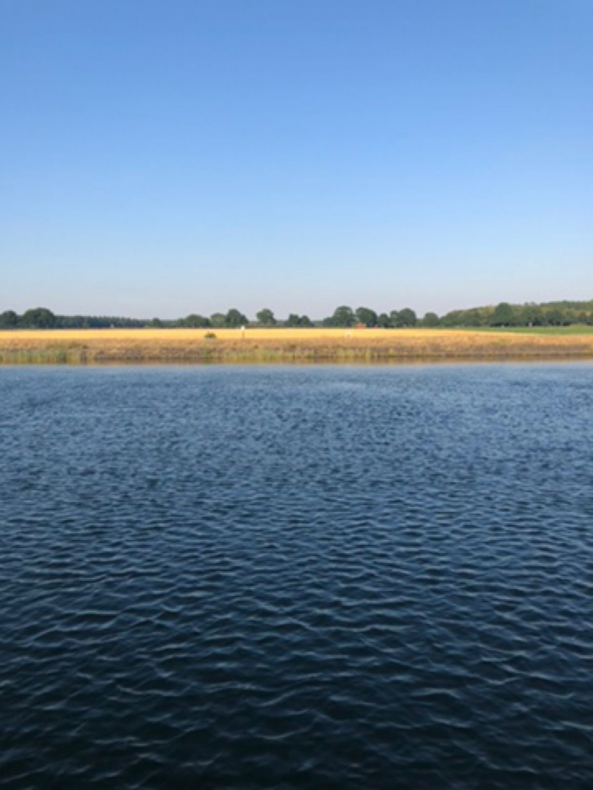 Elbe-Seitenkanal (Uelzen) angeln