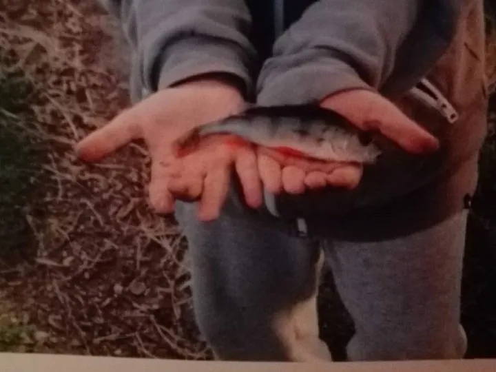 Kleine Röder (Bad Liebenwerda) angeln