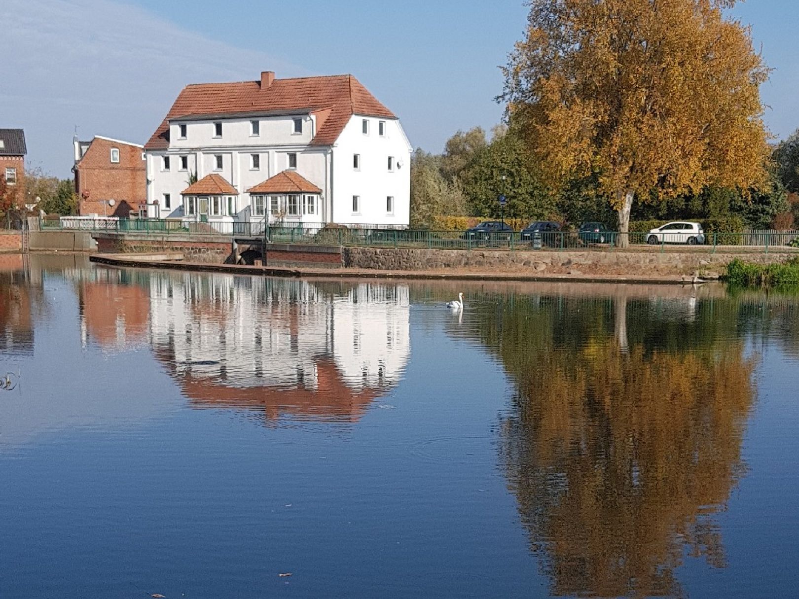 Mühlenteich (Rehna) angeln