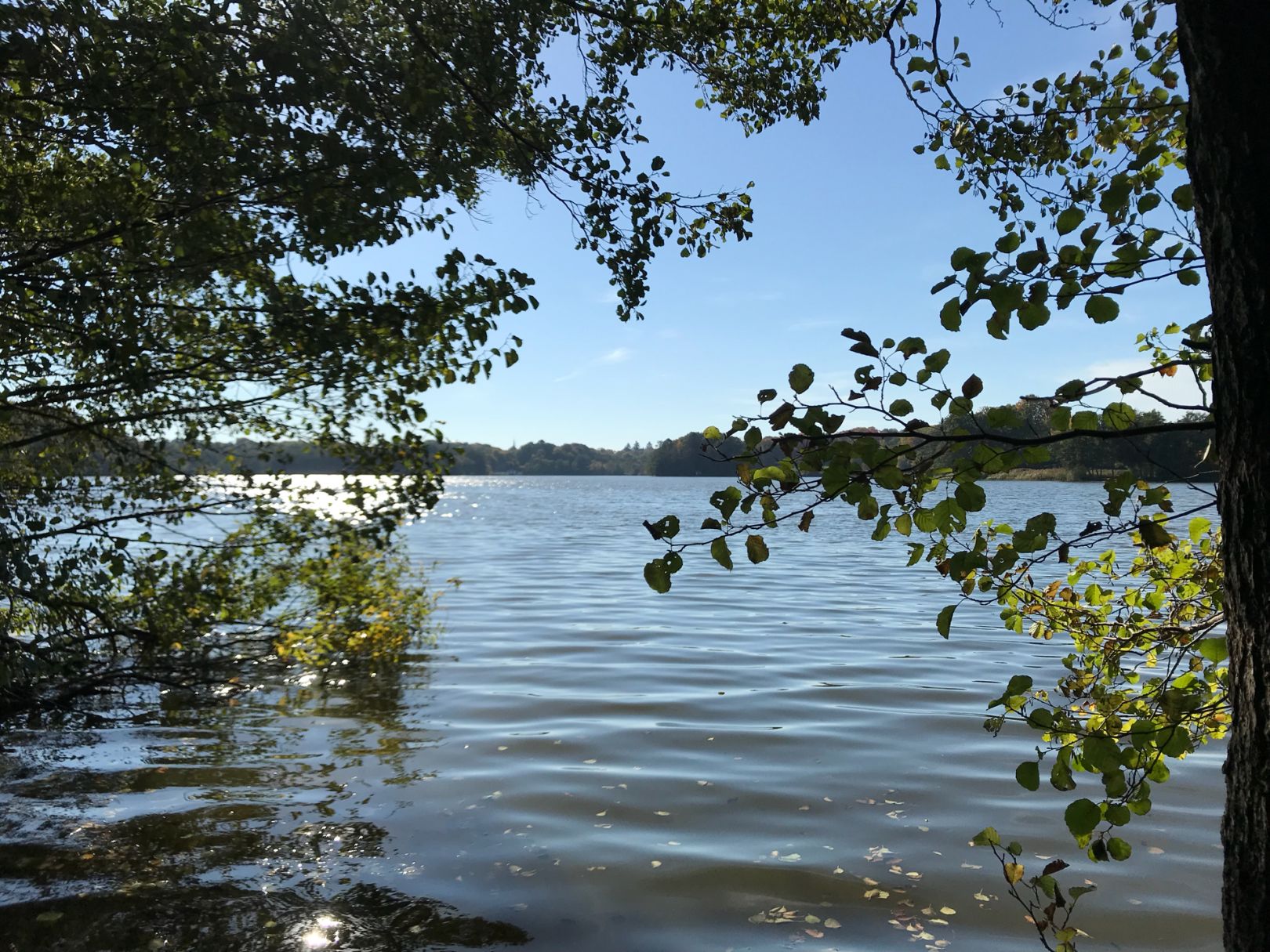 Lütjensee angeln