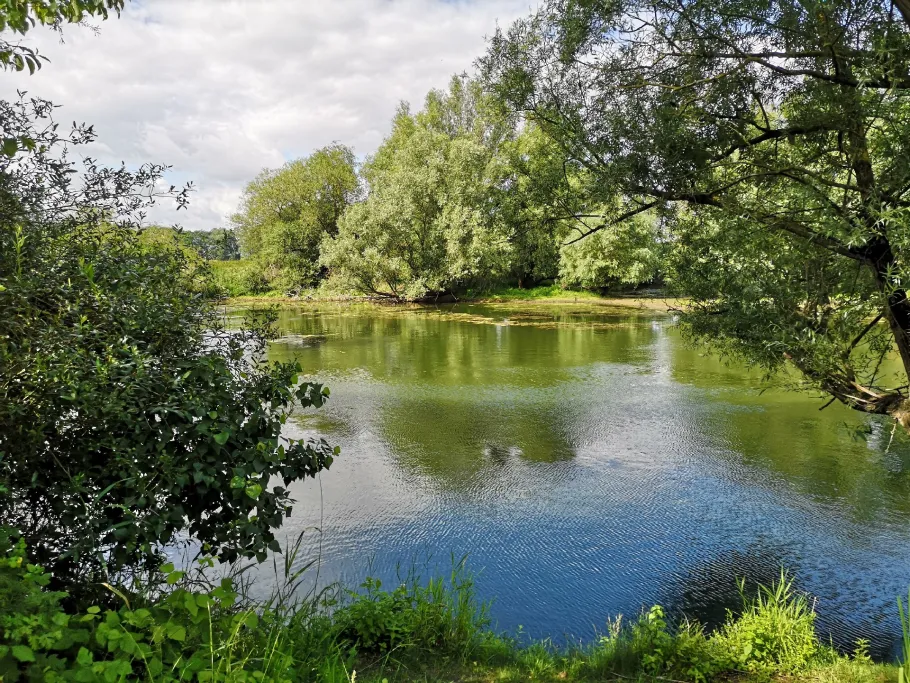 Koldinger Teich angeln