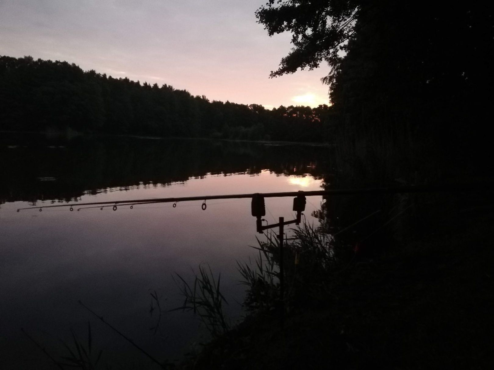 Heideteich (Reddern) angeln