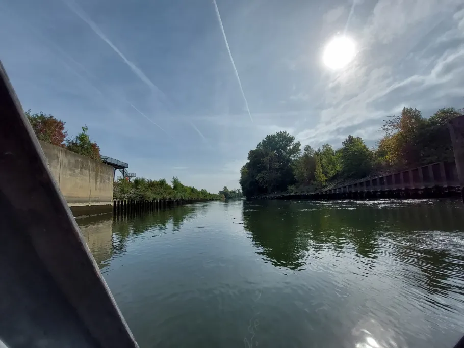 Donau (Regensburg) angeln