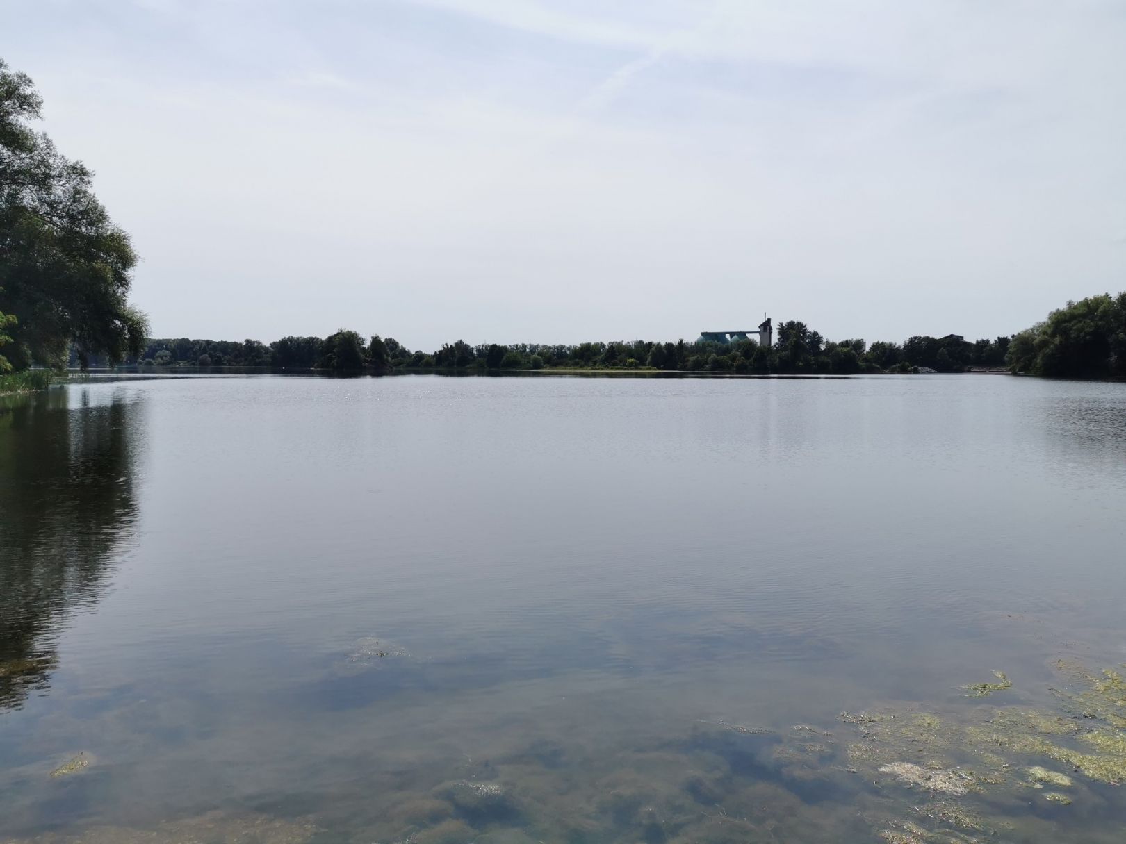 Donau (Regensburg) angeln