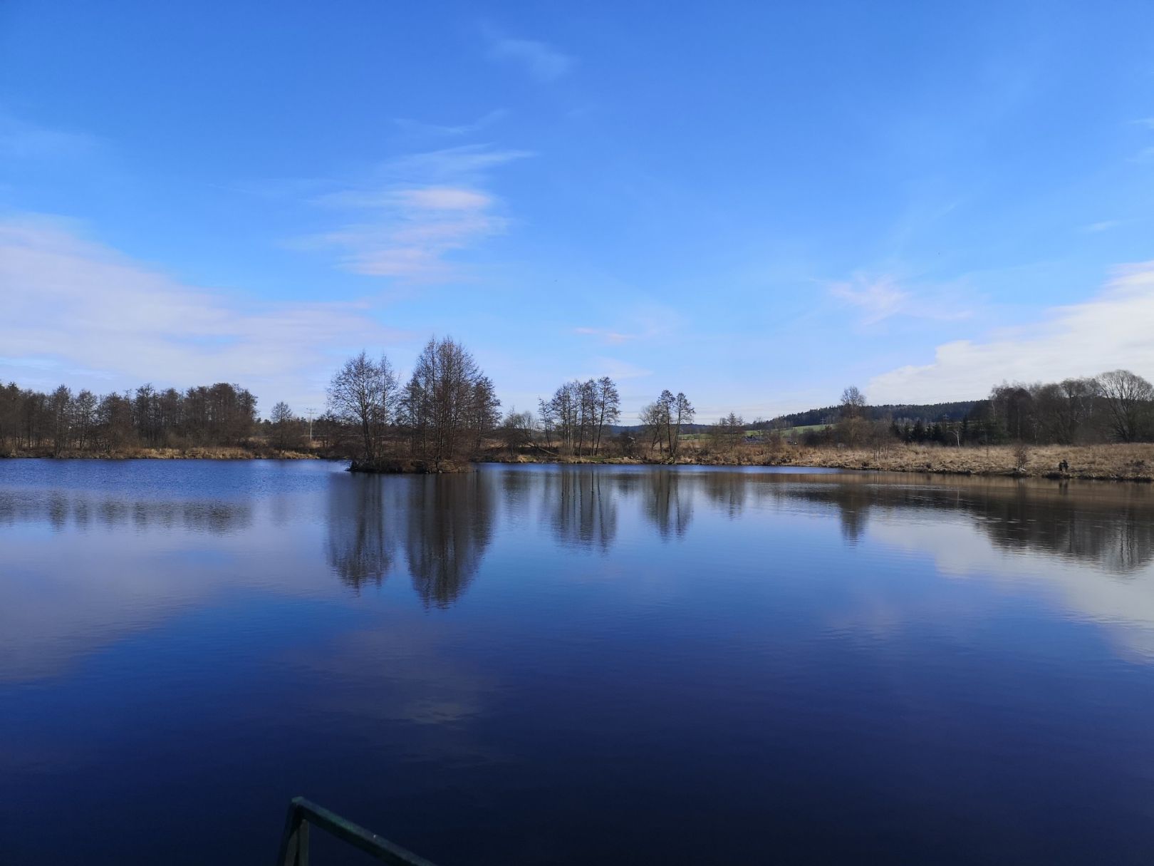 Baggersee Au (FV Weiden) angeln